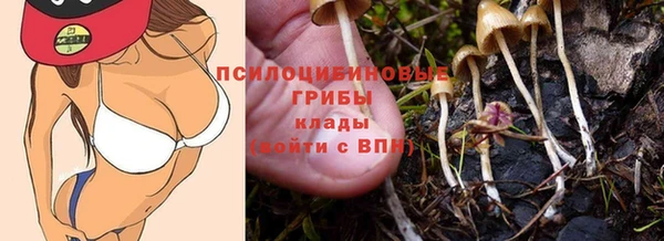 таблы Арсеньев